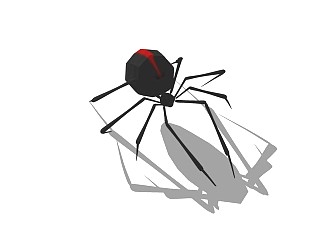 精品动物模型蜘蛛 (2)